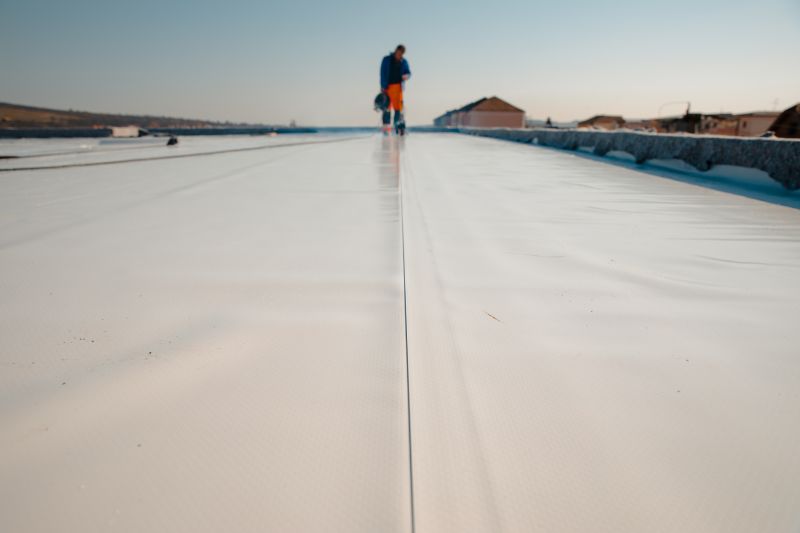 Spring Roofing